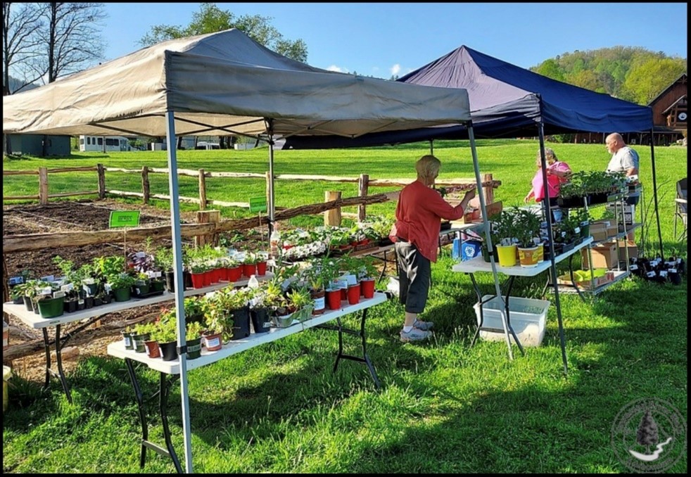 Tuckaleechee GC Plant Sale